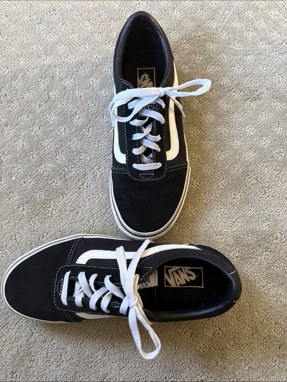 Vans Black and White Low-Top Skate Sneakers